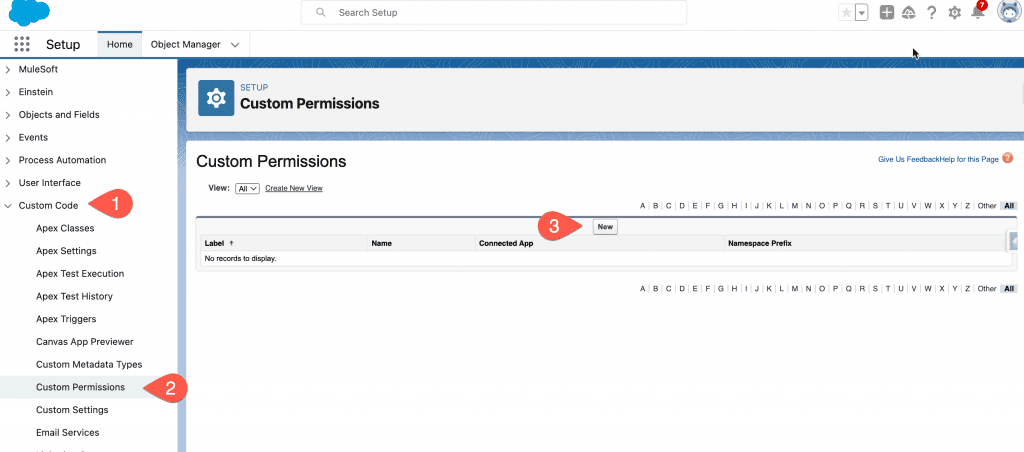 Screen Shot Custom Permission einrichten im Salesforce Setup.